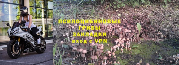 альфа пвп Богородицк