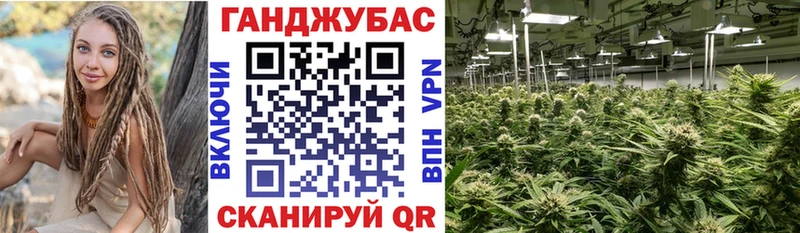Купить закладки  Солигалич  Бошки Шишки Amnesia 
